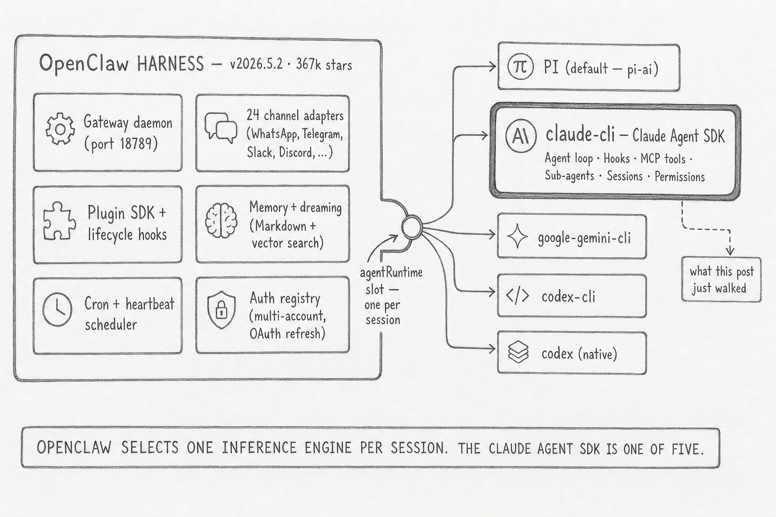 Hand-drawn pencil schematic of how the Claude Agent SDK plugs into OpenClaw. The left side shows the OpenClaw harness as a large box containing six components: Gateway daemon, 24 channel adapters, Plugin SDK with lifecycle hooks, Memory and dreaming, Cron and heartbeat scheduler, Auth registry. A central agentRuntime slot connects to five engine boxes on the right: PI default, claude-cli (highlighted as the Claude Agent SDK with sub-labels Agent loop, Hooks, MCP tools, Sub-agents, Sessions, Permissions), google-gemini-cli, codex-cli, and codex native. A callout from claude-cli labeled 